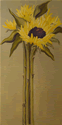 Sunflower Stalks