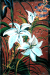 White Lilly